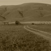 nipomo farm